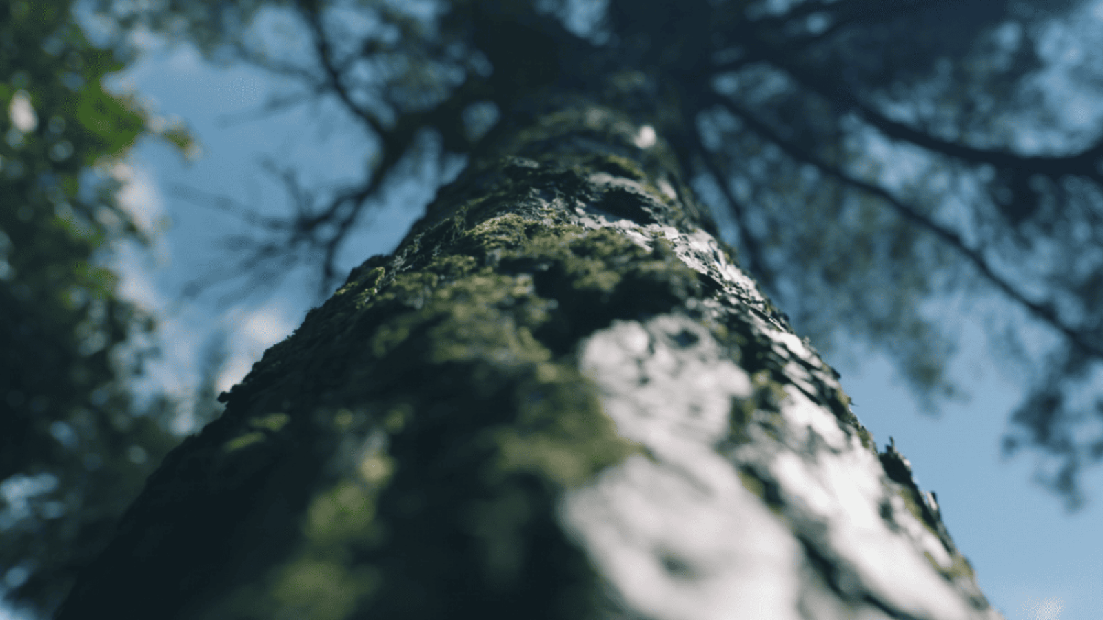 Blog-Bilder - 98� plastikfrei_2